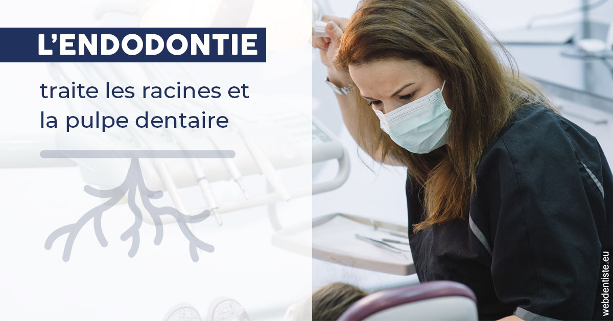 https://dr-attias-jacques.chirurgiens-dentistes.fr/L'endodontie 1