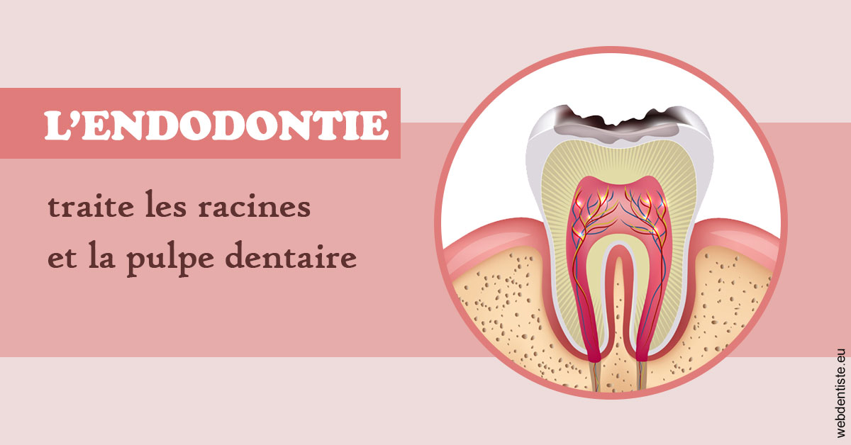 https://dr-attias-jacques.chirurgiens-dentistes.fr/L'endodontie 2